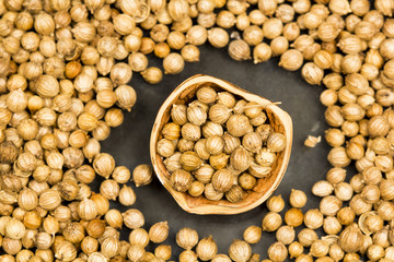 Coriander seeds with hazelnut shell on black background