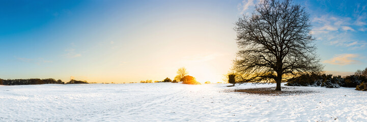 Landschaft im Winter bei Sonnenuntergang