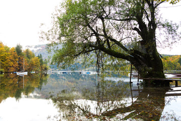 Fototapeta na wymiar Beautiful autumn scenery at lake Bohinj