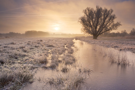 Sunrise over a frozen landscape in The Netherlands