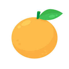 Orange fruit vector isolated