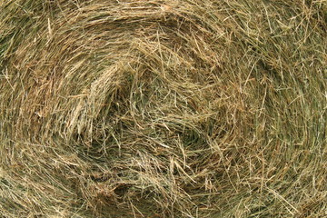 Hay bale