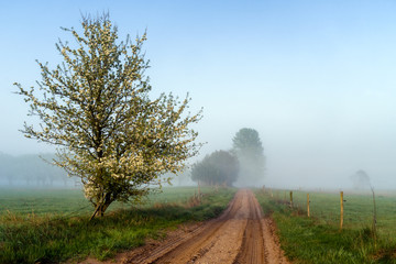 Wiejska droga © podlaski49