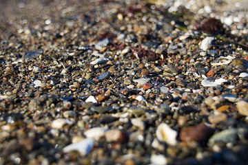 Wet bright shining different colored pebble stones and sea foam