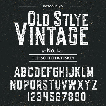 Typeface. Label. Old Style Vintage typeface, labels and different type designs