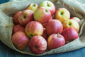 Pommes bicolores sur toile de jute  © guitou60