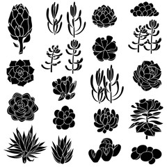 Isolated black silhouettes of succulents