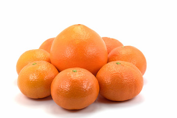 Zitrusfrüchte, Orangen, Mandarinen