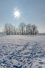 Winter Schnee Landscape cold nature