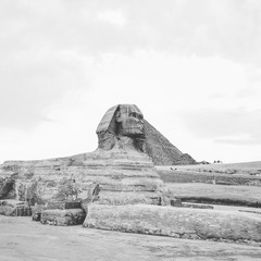 The Sphinx