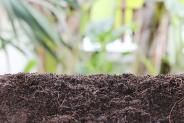 ground and background blur of garden vegetables.