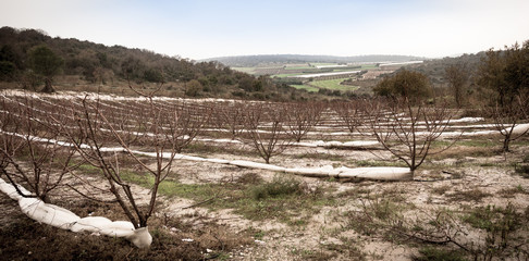 Obraz premium Carmel and Lower Galilee between Zihron Yaakov, Nazareth, Safed,