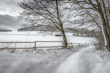 Winterlandschaft im Hunsrück