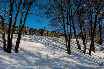 Przemyśl park. Zima