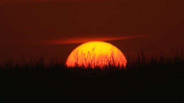 Louisiana march beach swamp sunset timelapse 