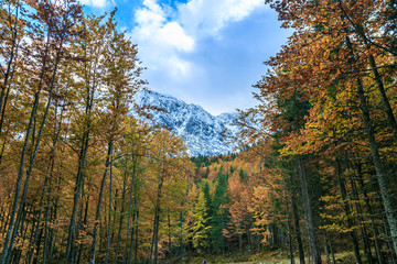 autumn sunrinse in the valley