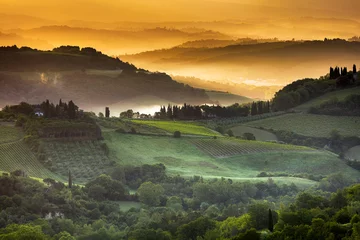 Fotobehang Toscane Golden light of Tuscany  © Evgeni Dinev