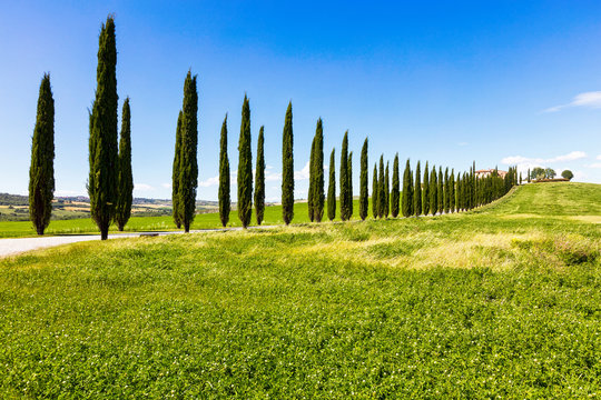Blue and green colors of the spring in Italy