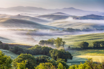 Hilly Tuscany valley at morning - 134014423