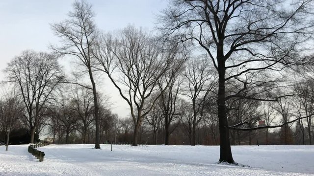 Central Park in Winter with snow, New York, 4K
