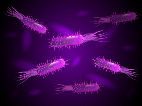 Purple Bacteria In Luminescence And Flagellum. Vector.