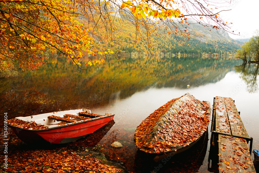 Canvas Prints beautiful autumn scenery at lake bohinj