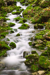 Fototapeta na wymiar View of a beautiful autumn creek near Bohinj
