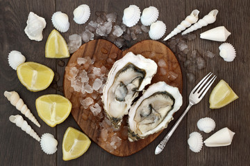 Oyster Shellfish