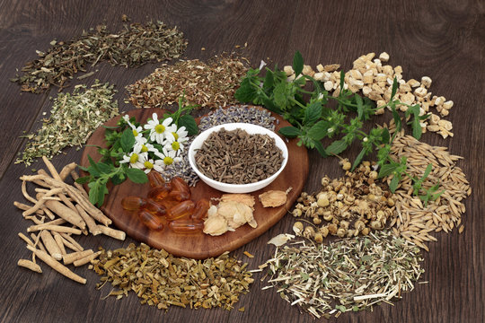 Herbal Medicine for Anxiety and Sleeping Disorders