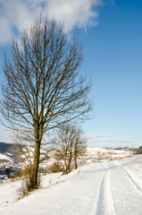 Winter landscape, snow-capped mountains, trees on a background o