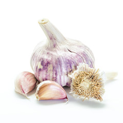 Garlic isolated on white background