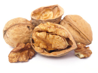 walnut