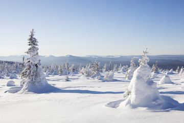 Winter landscape. Snow covered forest. Mountain range Zyuratkul