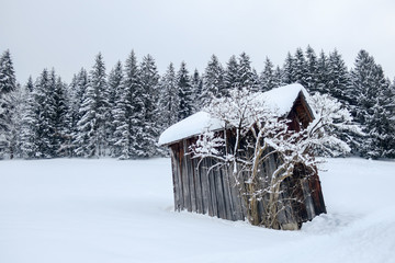 Verschneiter Wald und Stall im Winter