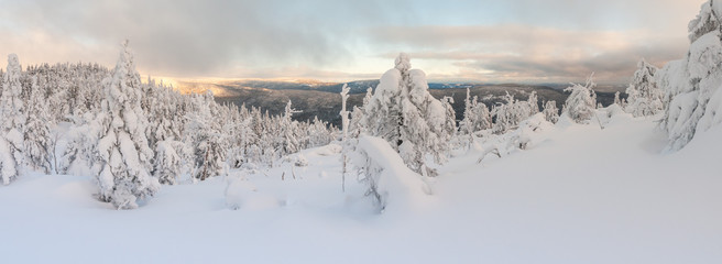 Montagne l'hiver #4