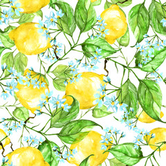     Vintage seamless watercolor pattern - hand drawing threads of lemon with flowers, leaves. Trendy pattern. Painting
Citrus fruits 