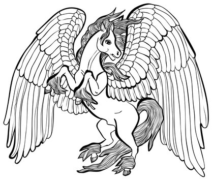 Vector illustration of Pegasus horse black and white 