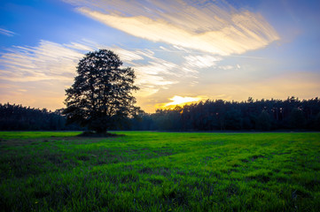Obraz premium Sunrise
