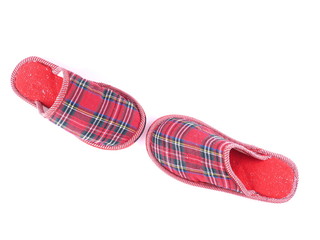 slippers on a white background