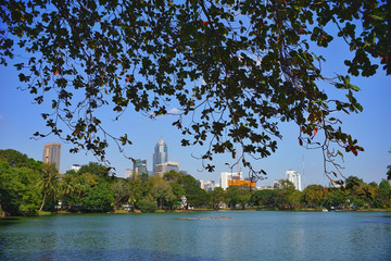 Lumpini Park Backdrop of the city In Bangkok, Thailand