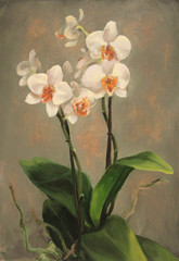 White Orchids on multicolored gray and beige background, original oil painting 