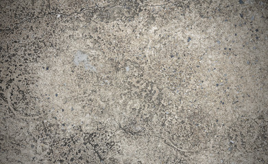grey concrete floor/wall texture. Material vintage style background.