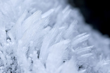 Closeup image of long fragile ice crystals, over a black background.