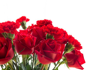red rose and carnation isolated on white background