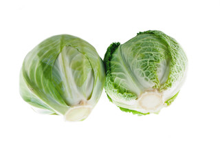 white cabbage and savoy cabbage