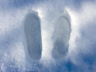 Abdrücke im Schnee