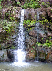 Fototapeta premium Waterfall in the Jungle