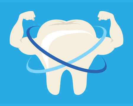 Strong Tooth With Muscle Illustration