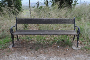 wooden bench in the park