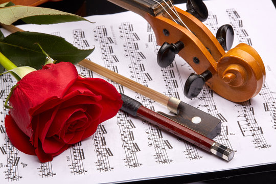 Violin, rose and notes.